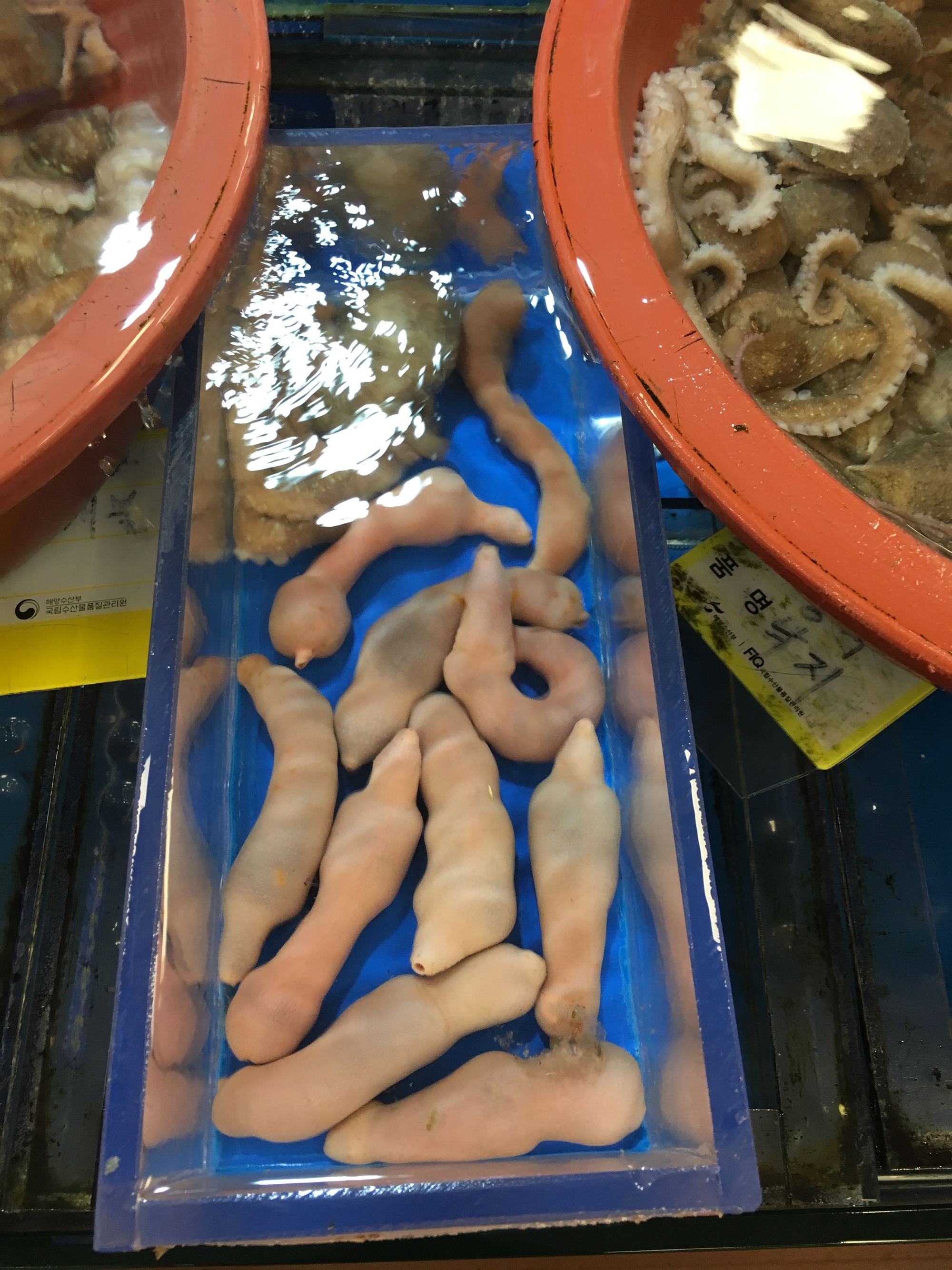 Cố chấp ăn đặc sản giun sống ở Hàn Quốc, khách Việt rùng mình dù chỉ mới ăn 1 miếng- Ảnh 1. Cố chấp ăn đặc sản giun sống ở Hàn Quốc, khách Việt rùng mình dù chỉ mới ăn 1 miếng- Ảnh 1.