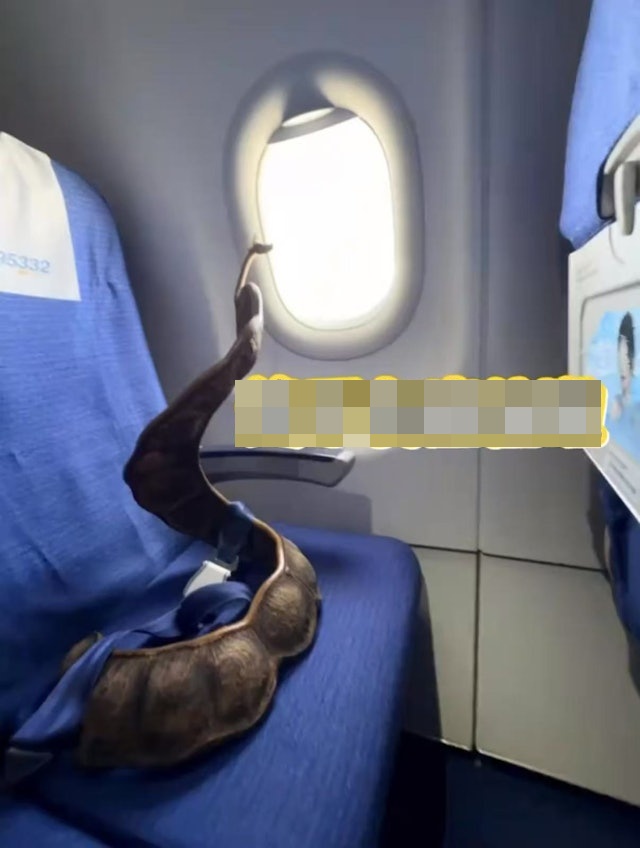 Cô gái thản nhiên quấn Cô gái thản nhiên quấn