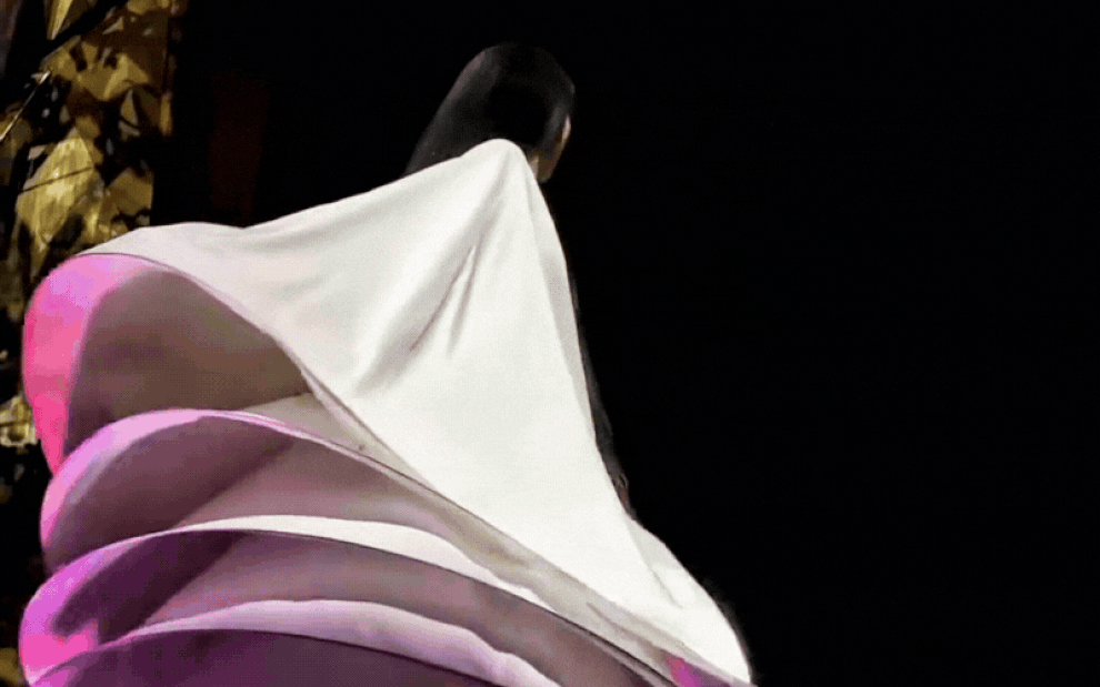 Cô gái xoay liên tục 3 tiếng trong buổi biểu diễn chim công ở Hà Nội là ai? - 1