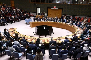 HĐBA thông qua nghị quyết kêu gọi Iran ngưng tấn công vùng Vịnh, Đại sứ Tehran phản đối sự ‘lạm dụng, bất công’