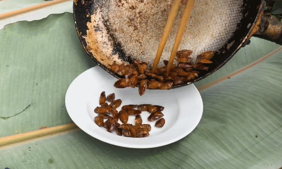 Con đặc sản xưa nhiều người “sợ xanh mặt”, nay thành đặc sản Tây Bắc tiền triệu, dân nhậu mê tít săn lùng- Ảnh 6.