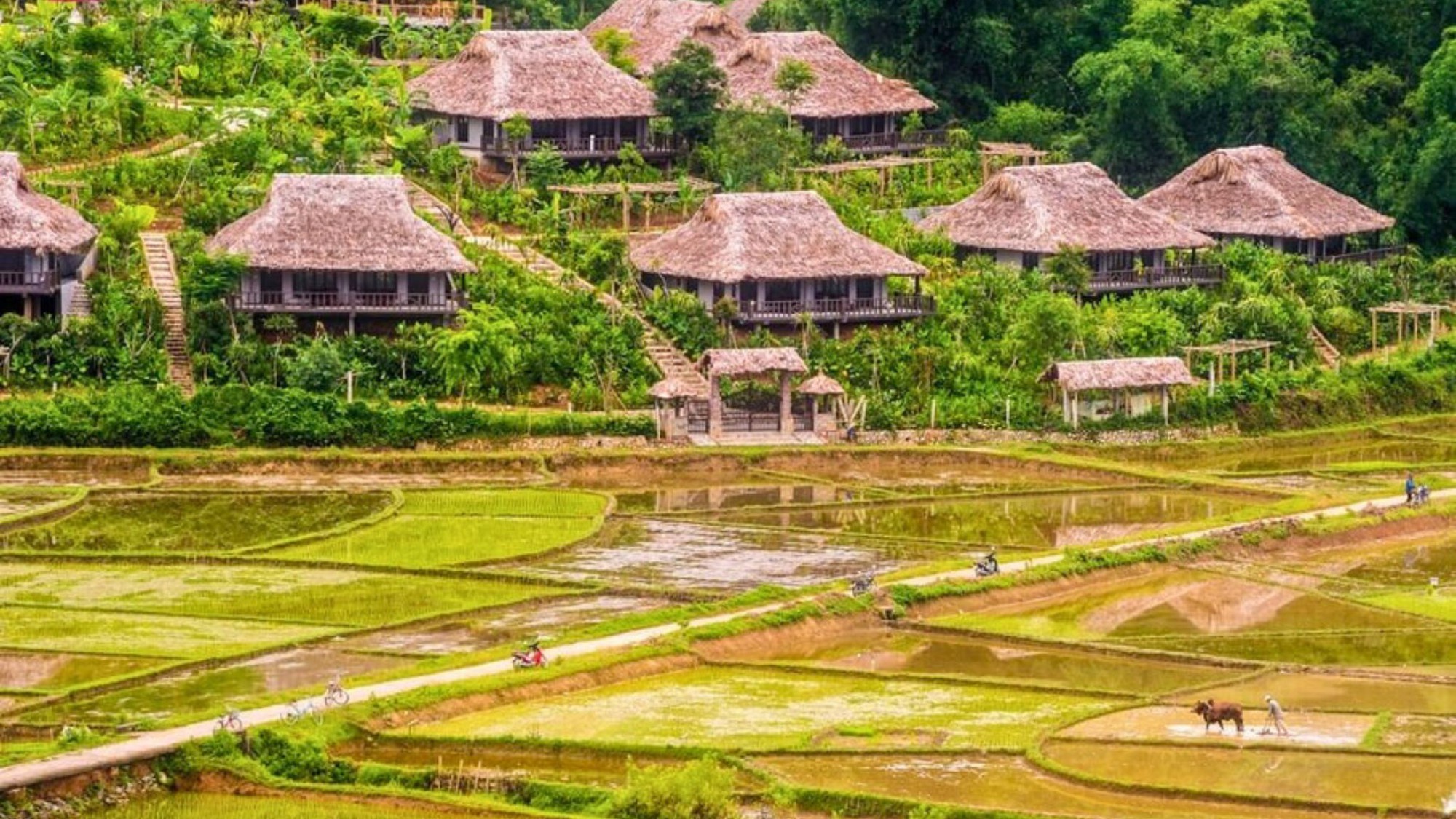 Giải thưởng Traveller Review Awards 2026: Công bố những điểm đến hiếu khách nhất Việt Nam- Ảnh 2.