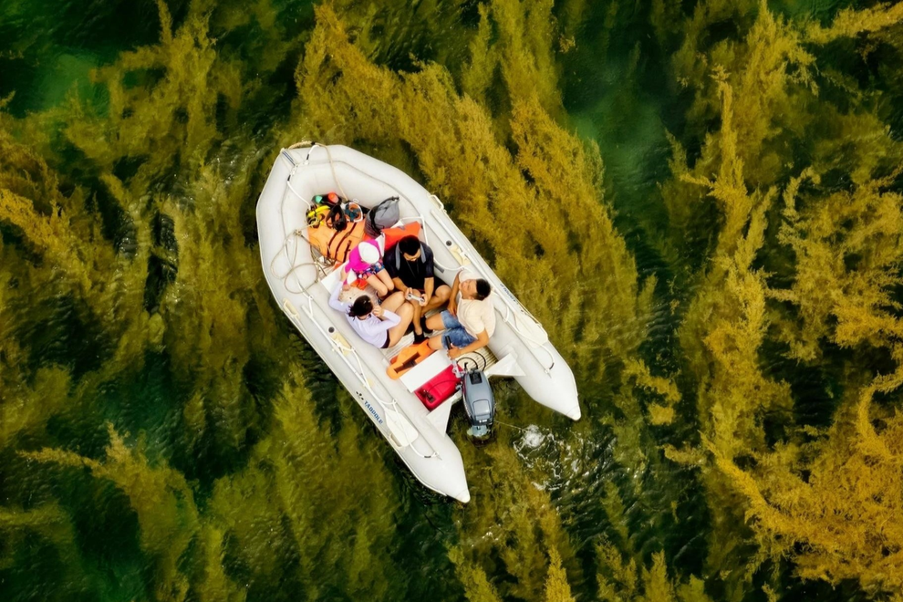 Cú bấm máy tình cờ ở Côn Đảo giúp chàng trai Việt đạt giải thưởng danh giá - 2