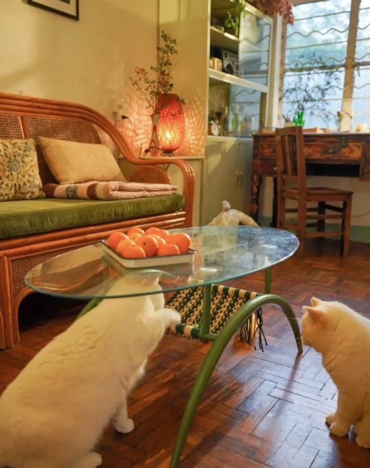 Cụ bà 73 tuổi không phiền con cháu, già đi lặng lẽ trong căn nhà cũ ở quê: Cuộc sống dịu dàng, chữa lành đến lạ- Ảnh 9.