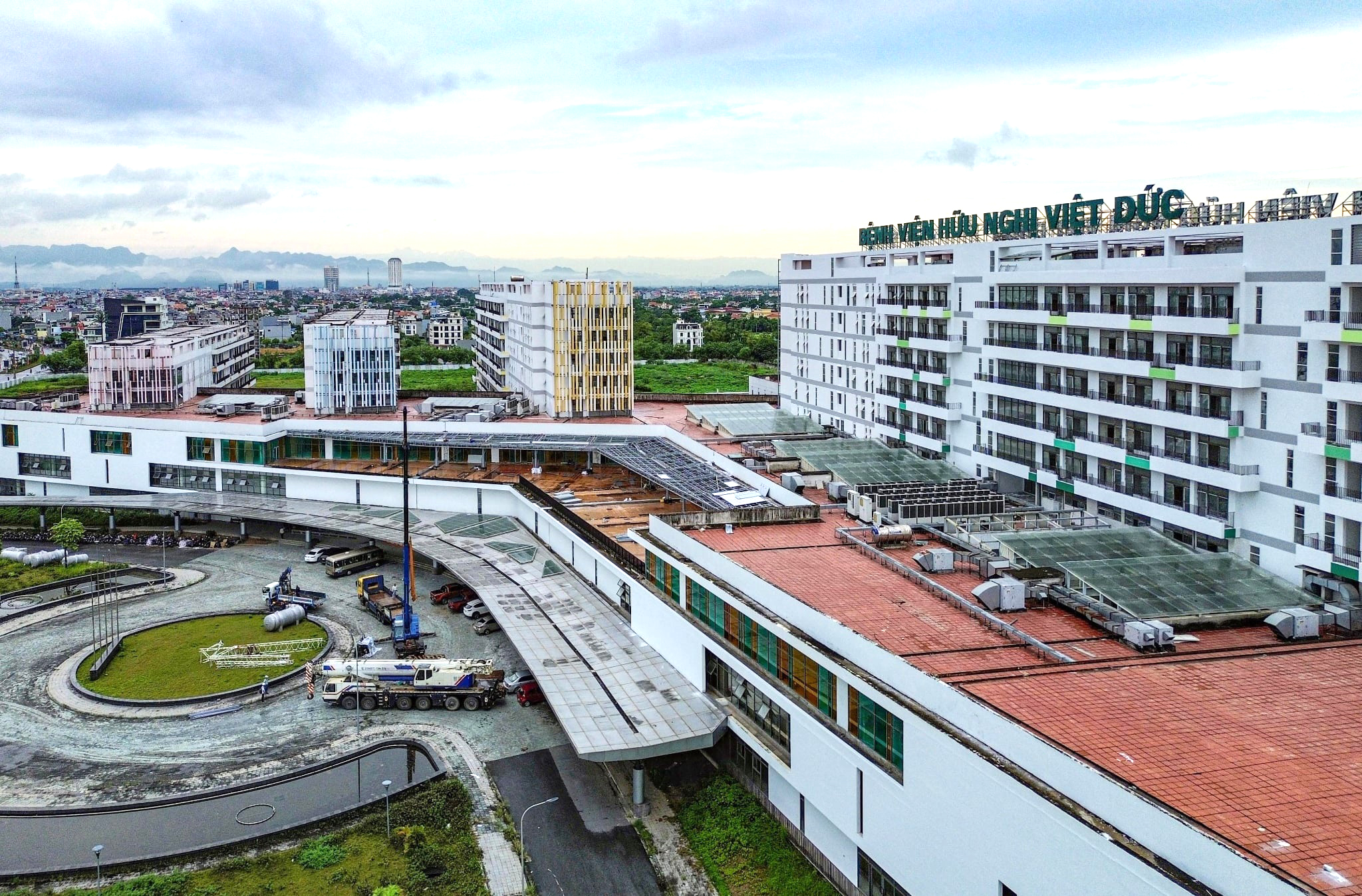 nguyễn thị kim tiến - Ảnh 1.