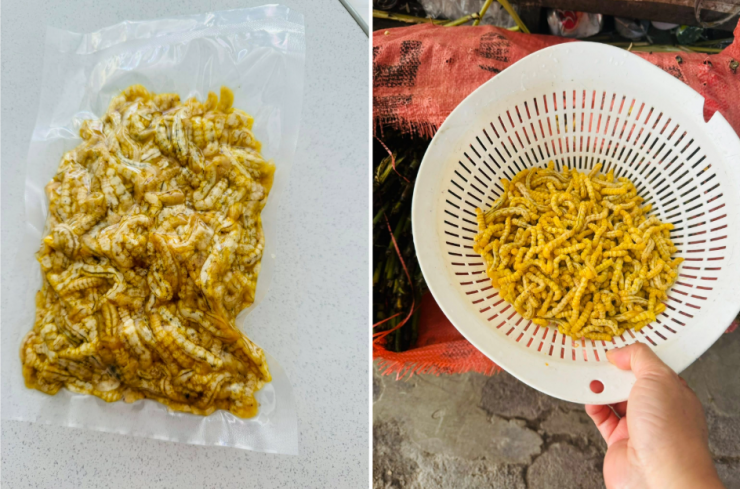 Đặc sản Điện Biên có món nhiều người ngại thử, có món được ví như 'thần dược' - 1