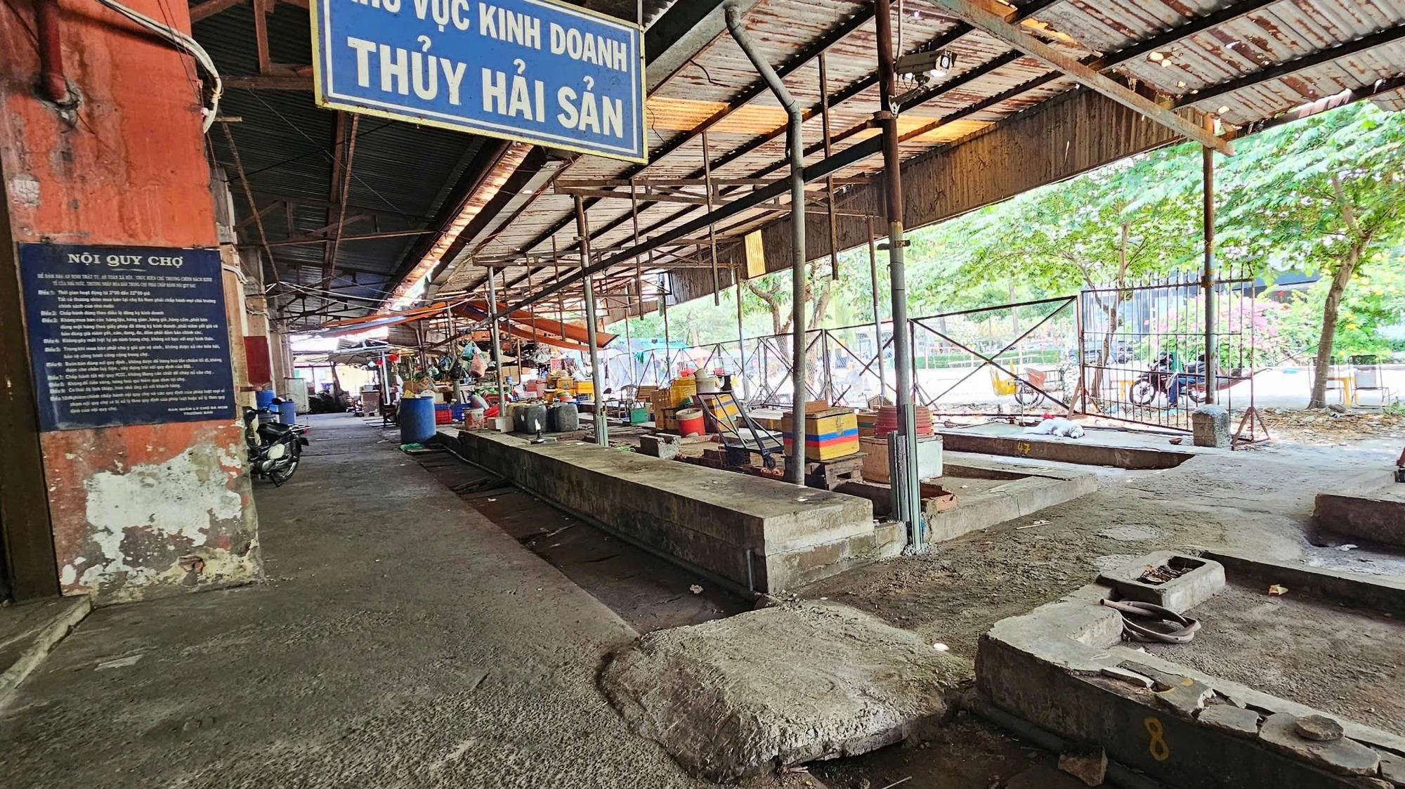 - Ảnh 1. - Ảnh 1.