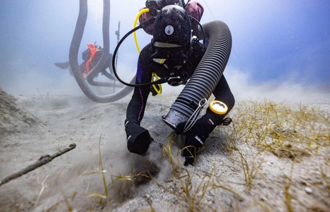 Đắm vì quá tải báu vật, “tàu ma” Mentor nổi tiếng để lộ thứ đáng chú ý- Ảnh 1.