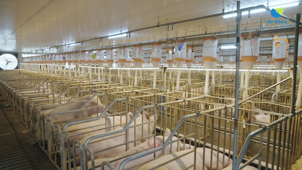 De Heus mua lại thành công CJ Feed  Care - 3