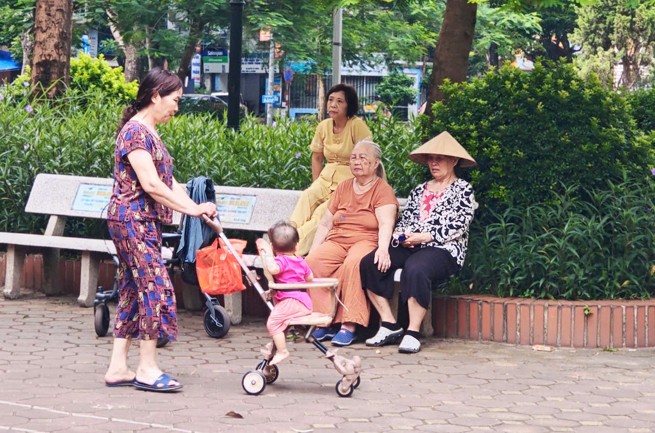 người cao tuổi - Ảnh 1.