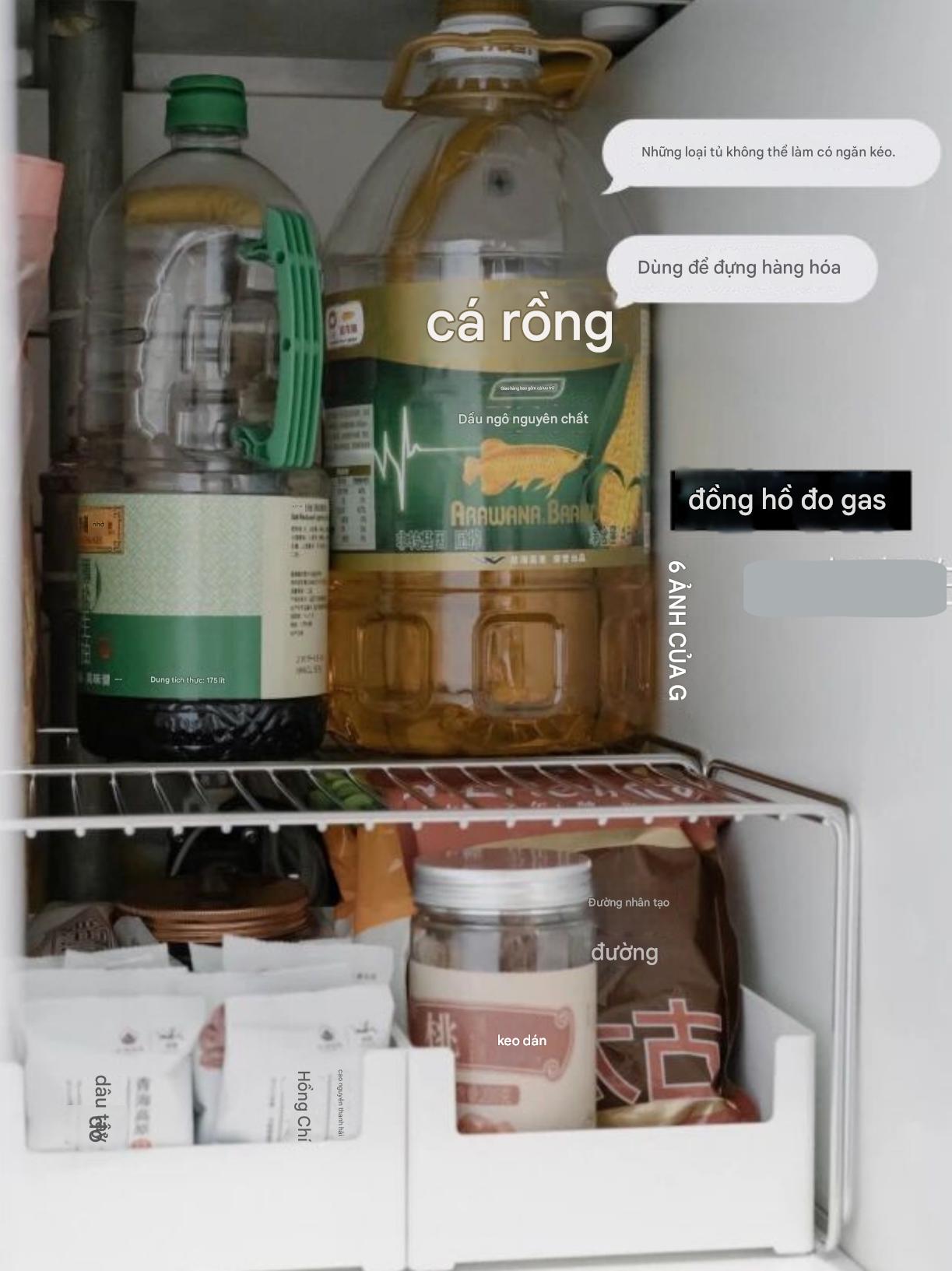 Đến nhà bạn học, tôi 