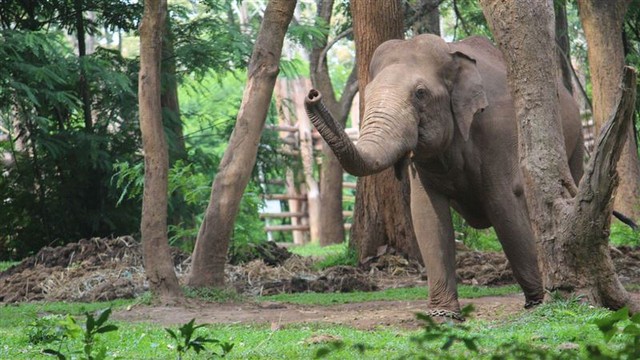 Đi vệ sinh lúc rạng sáng, cụ ông 87 tuổi bất ngờ chạm trán Đi vệ sinh lúc rạng sáng, cụ ông 87 tuổi bất ngờ chạm trán