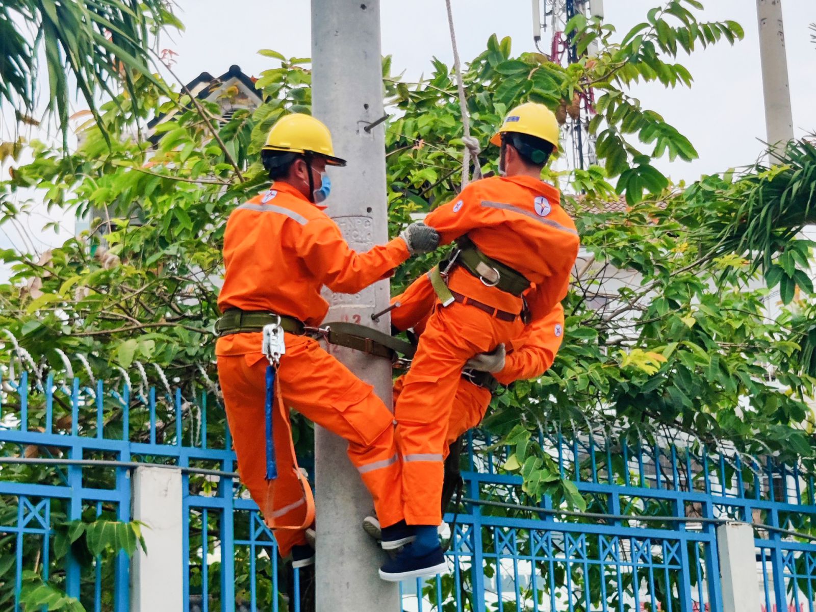 Điện lực TPHCM hướng dẫn tiết kiệm điện hiệu quả trong mùa nắng nóng 2026 - Ảnh 1. Điện lực TPHCM hướng dẫn tiết kiệm điện hiệu quả trong mùa nắng nóng 2026 - Ảnh 1.