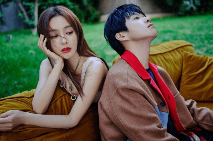 Tần Lam và Ngụy Đại Huân từng nhiều lần hợp tác trong các dự án chung.