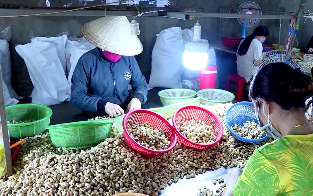 Doanh nghiệp Việt hồi hộp theo dõi các lô hàng xuất đi Trung Đông - 2