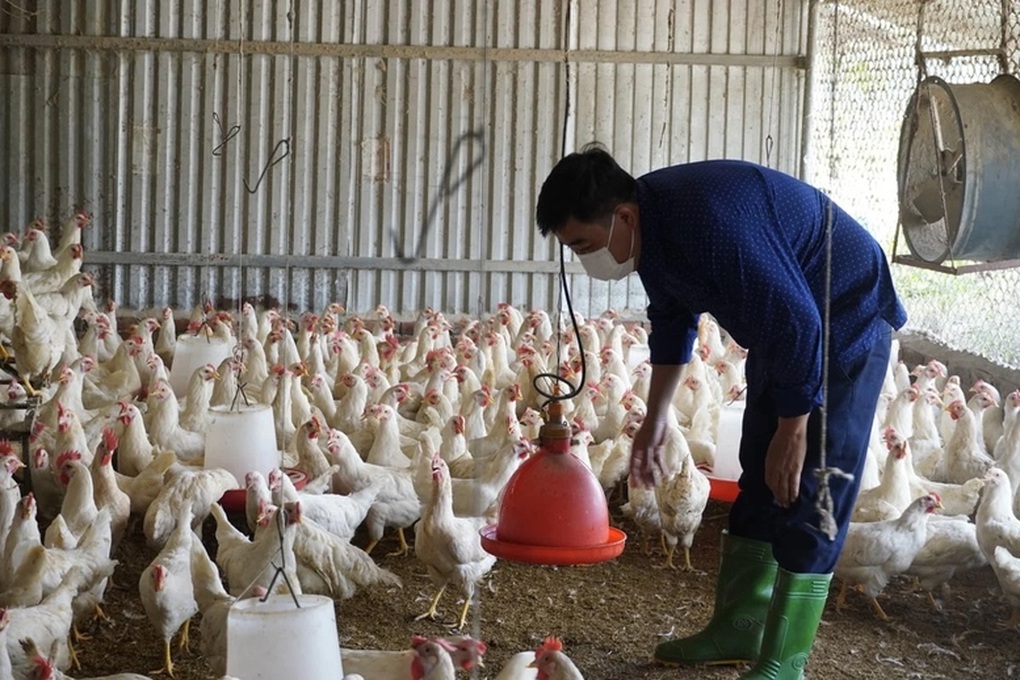 Doanh nghiệp, hiệp hội chung tay giữ nhịp sản xuất nông nghiệp - 2