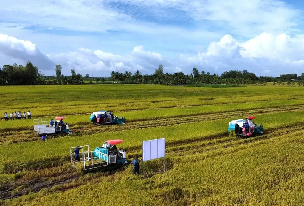 Doanh nghiệp, hiệp hội chung tay giữ nhịp sản xuất nông nghiệp - 1