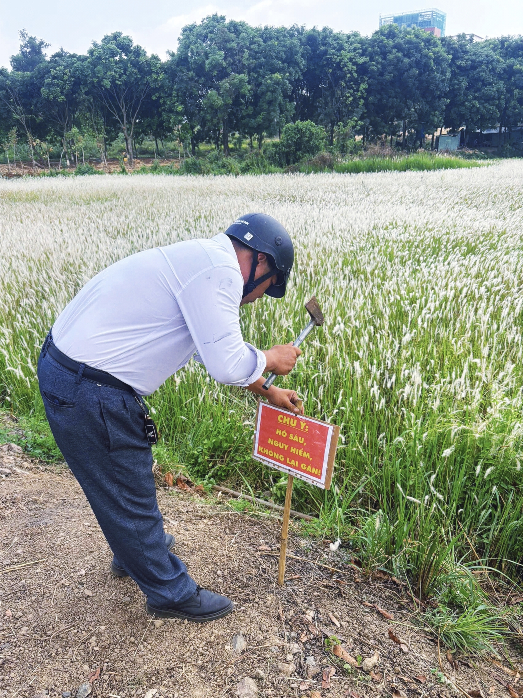 Đồng cỏ thơ mộng tại làng đại học hút khách 'săn' hoàng hôn, check-in - Ảnh 11.