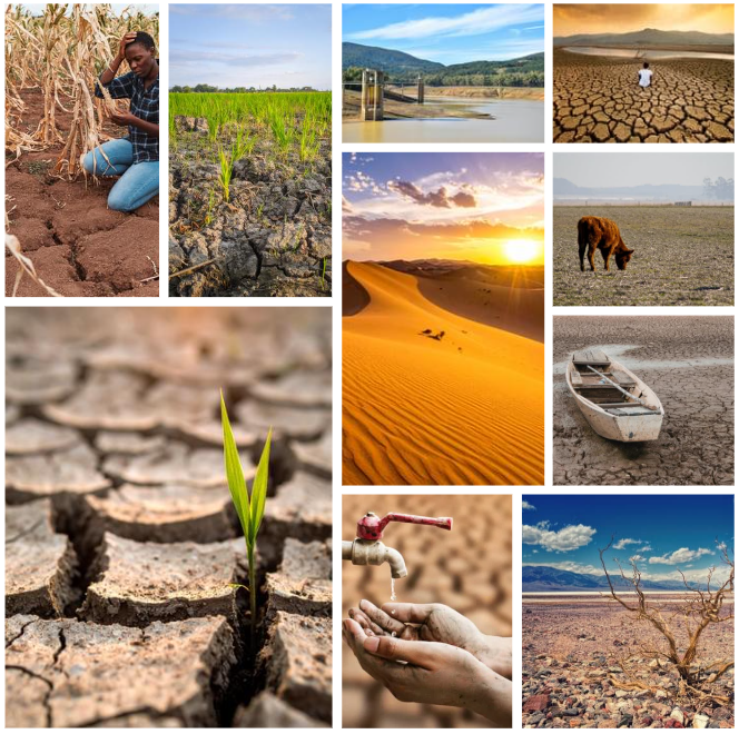 El Niño có thể tái xuất cuối năm 2026: Trái đất trước nguy cơ nóng kỷ lục 1 El Niño - Ảnh 1.