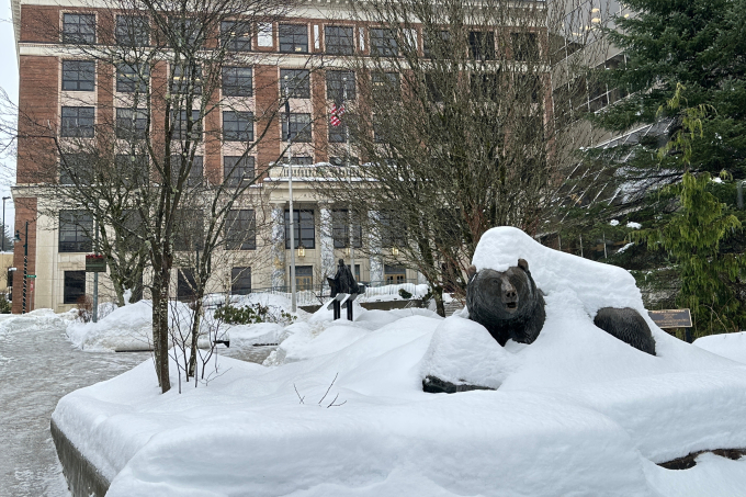 Tuyết phủ tại một khu phố ở Juneau, Alaska, ngày 5/3. Ảnh: AP