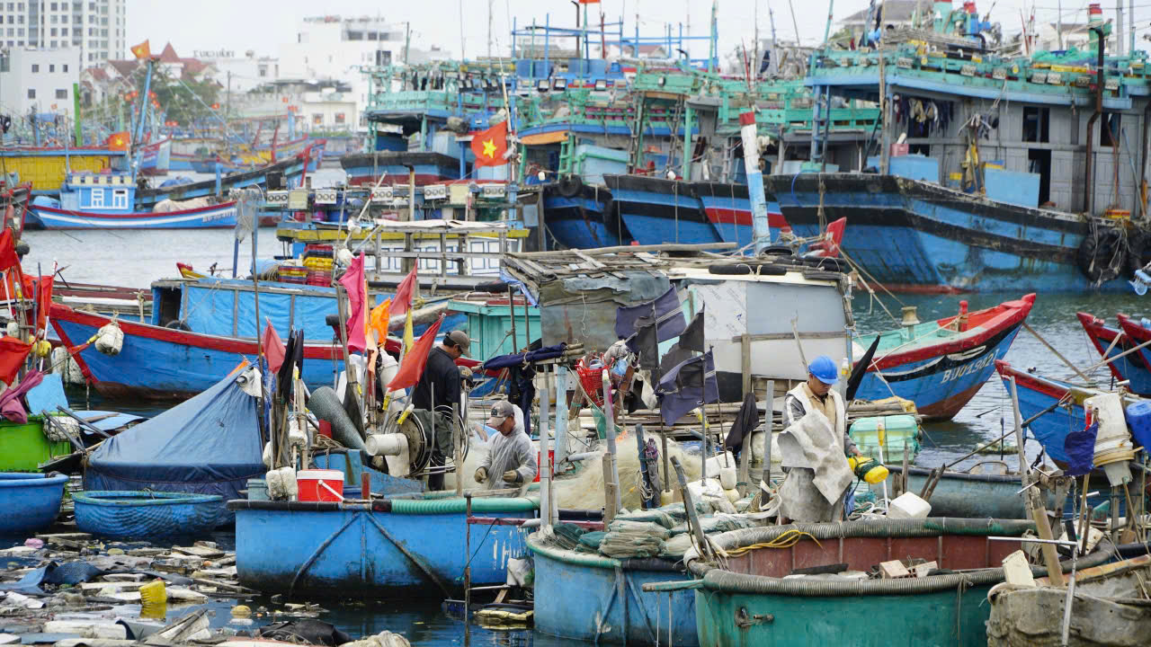 Bầu cử Quốc hội: Gia Lai vận động ngư dân dừng ra khơi tham gia đi bầu- Ảnh 1. Bầu cử Quốc hội: Gia Lai vận động ngư dân dừng ra khơi tham gia đi bầu- Ảnh 1.