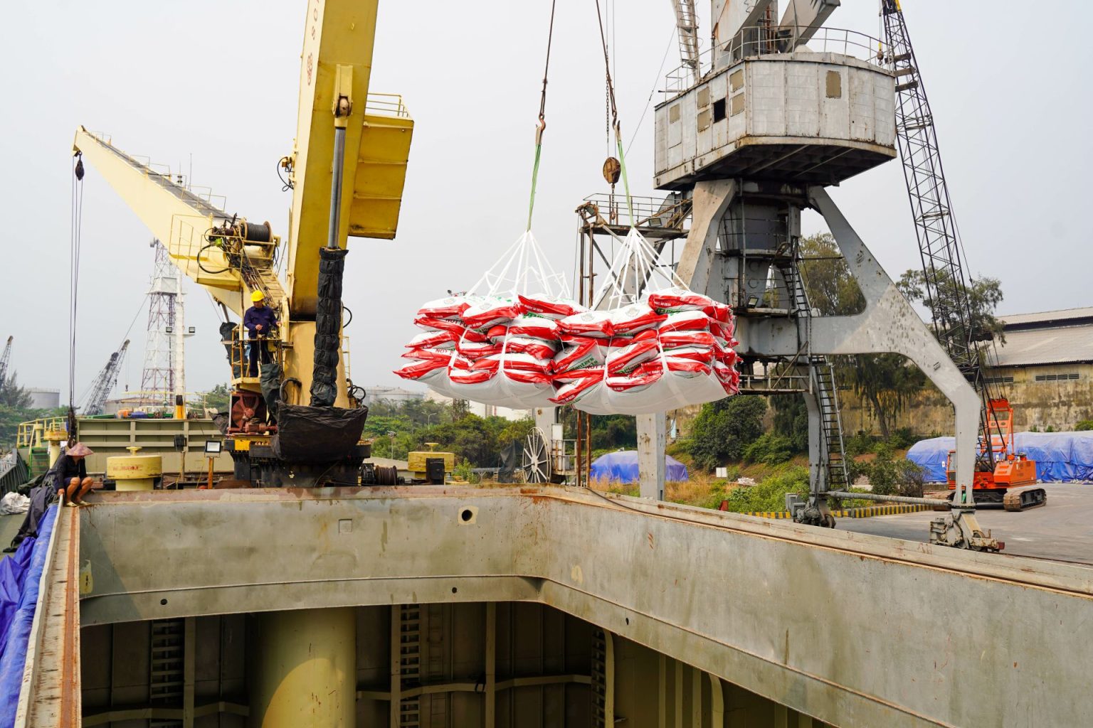 Giá phân bón tăng vì nguồn cung bị ảnh hưởng- Ảnh 1.