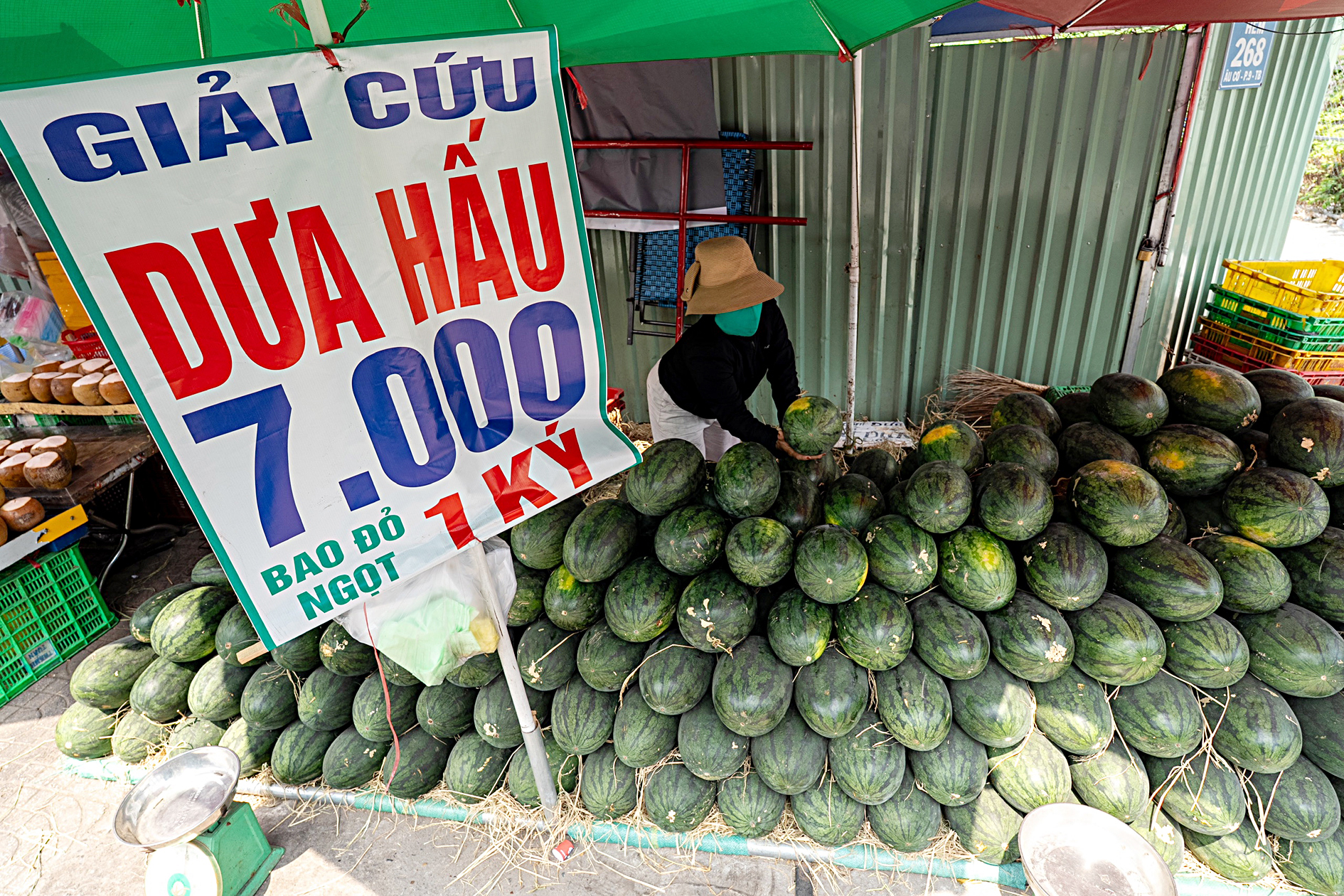 Trái cây rớt giá mạnh - Ảnh 1. giá trái cây - Ảnh 1.