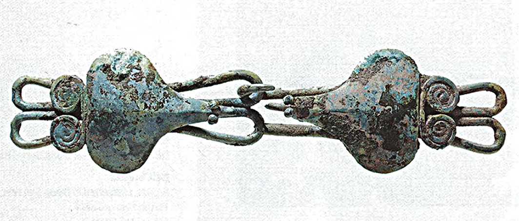 Giải mã hình tượng cóc trên mặt trống đồng Đông Sơn- Ảnh 3.