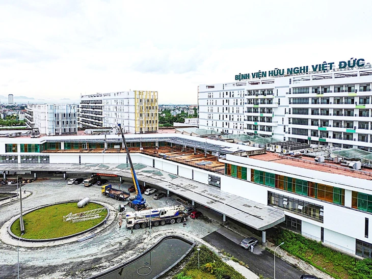 nguyễn thị kim tiến - Ảnh 1.