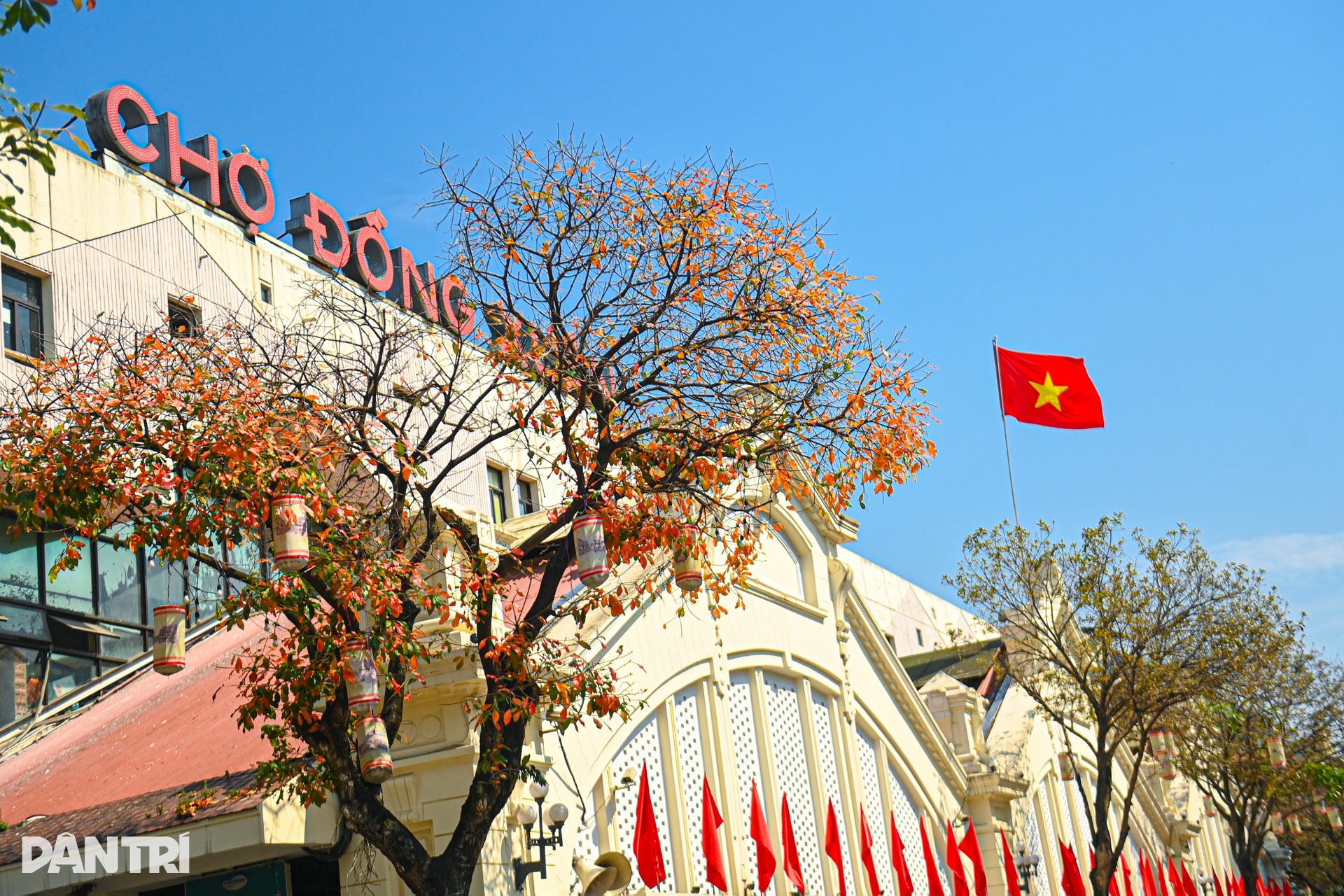 Hà Nội lãng mạn mùa hoa khoe sắc - 1