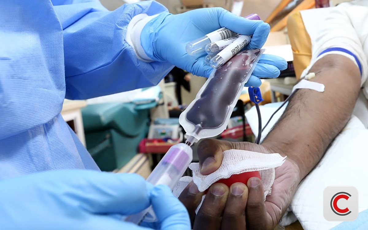 Bê bối chao đảo ngành y: Hai bệnh nhân ung thư tử vong vì thiết bị lọc máu, công ty đứng sau nhận cáo buộc che giấu sự thật- Ảnh 1.