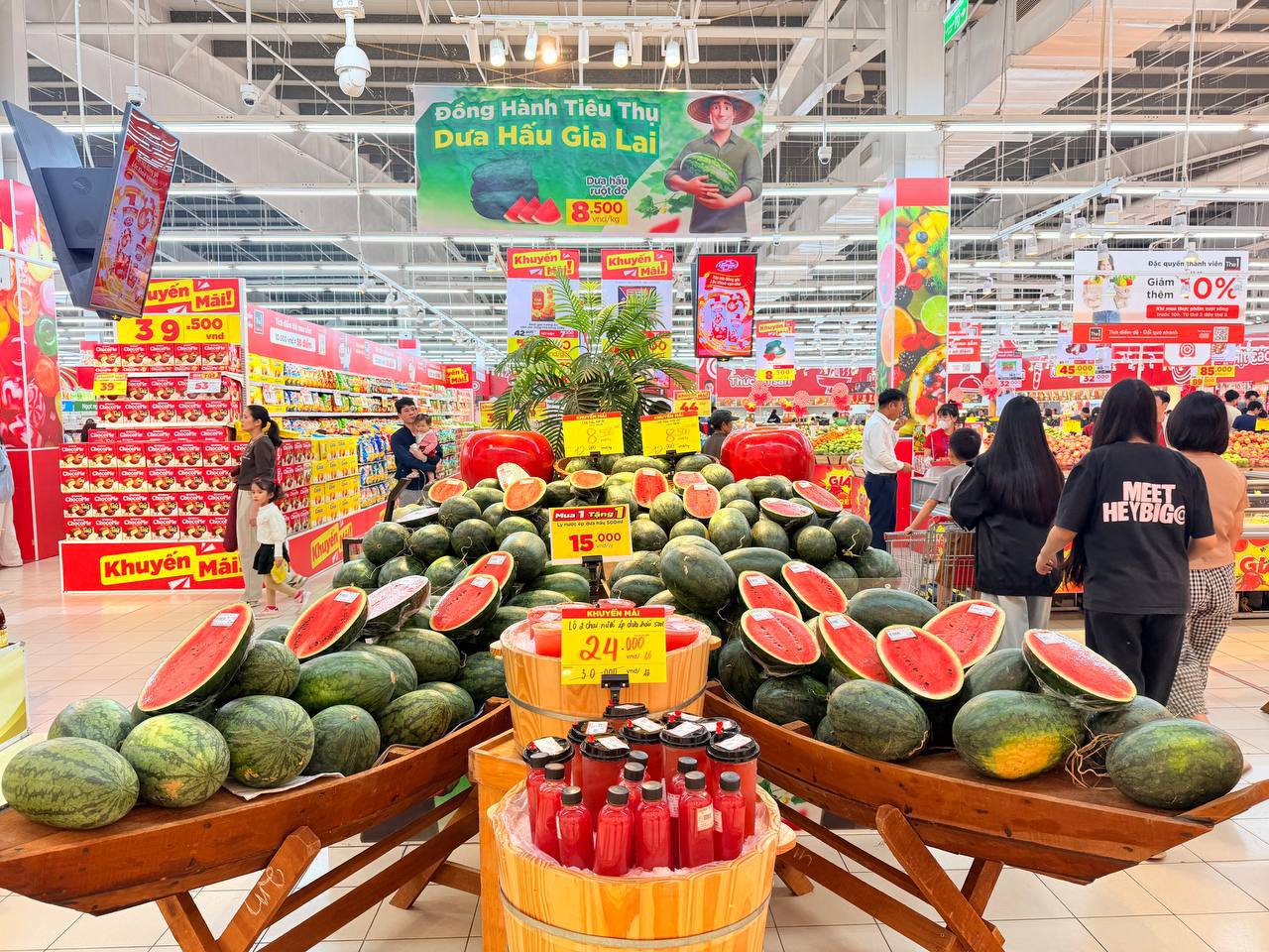 Hàng ngàn héc ta dưa hấu vào vụ thu hoạch rộ, Gia Lai nhờ các tỉnh hỗ trợ tiêu thụ 1 Hàng ngàn héc ta dưa hấu vào vụ thu hoạch rộ, Gia Lai nhờ các tỉnh hỗ trợ tiêu thụ - Ảnh 1.