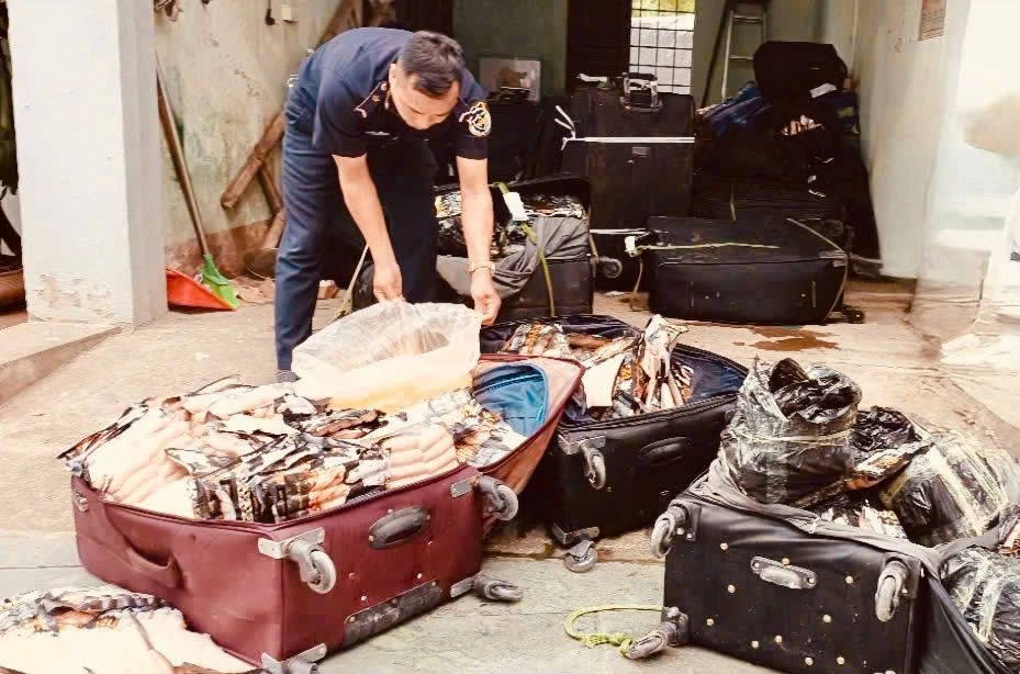 thực phẩm bẩn nhập lậu.jpg