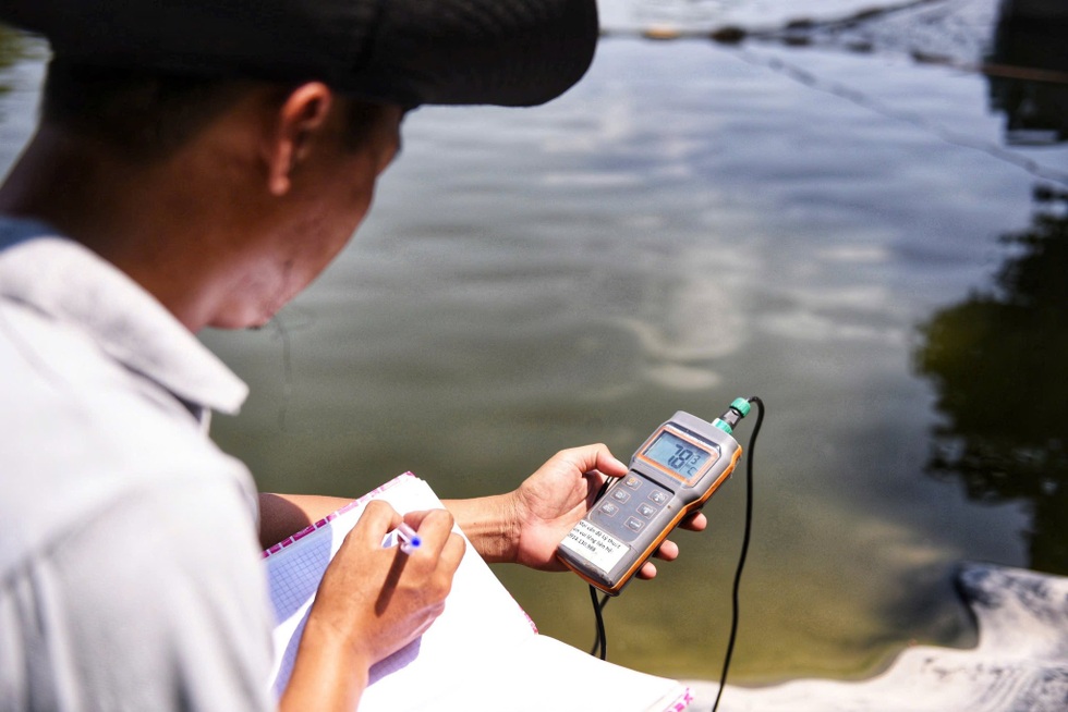 Hành trình phi thường của cá tra Việt Nam tại Nhật Bản - 2