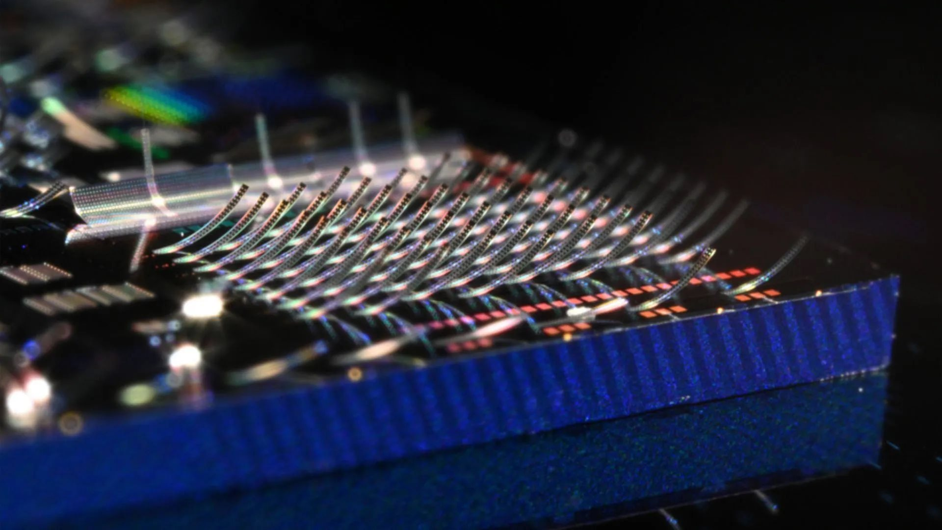 Ho lam duoc dieu kho tin the nay day