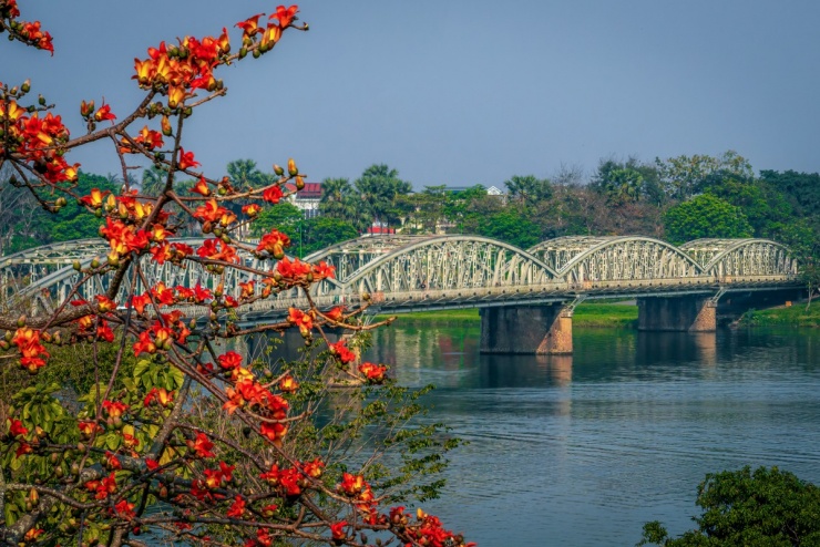 Hoa gạo nở đỏ rực khắp Kinh thành Huế - 1