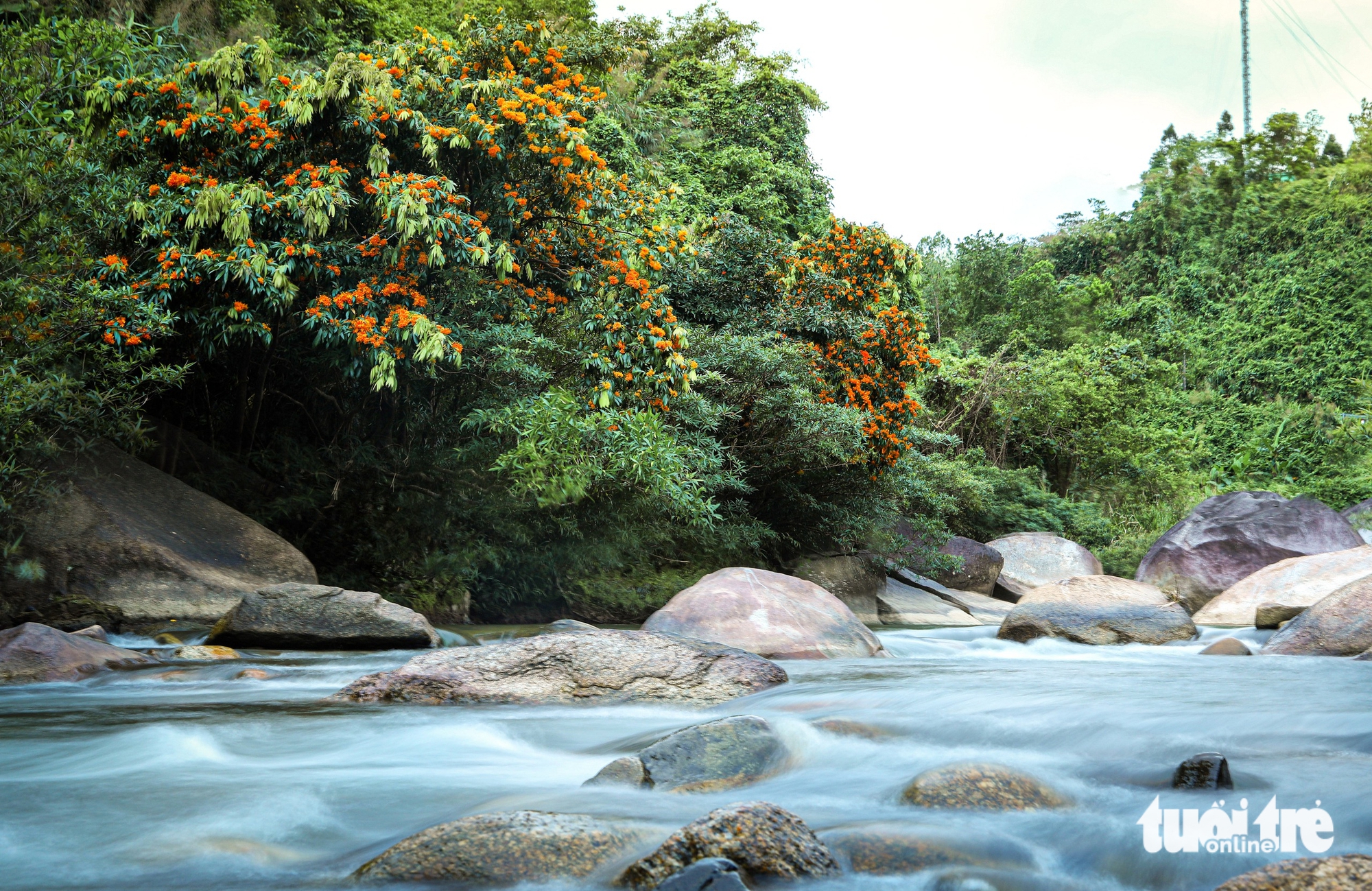 Đà Nẵng - Ảnh 1.