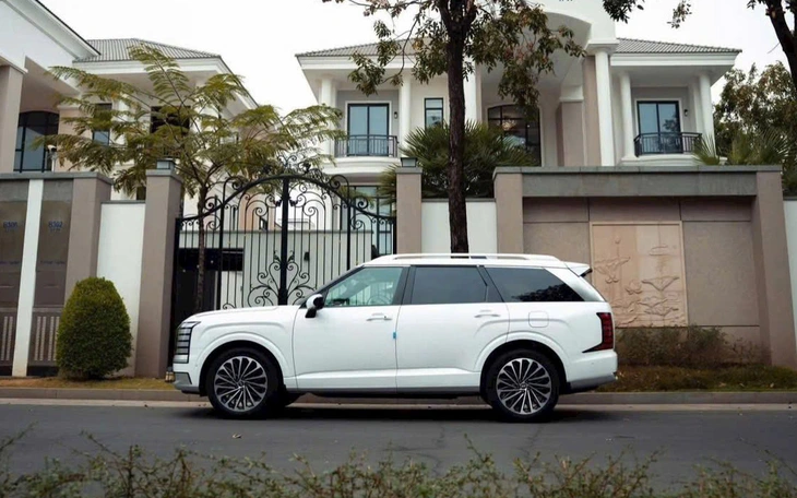 Hyundai Palisade - Ảnh 1.