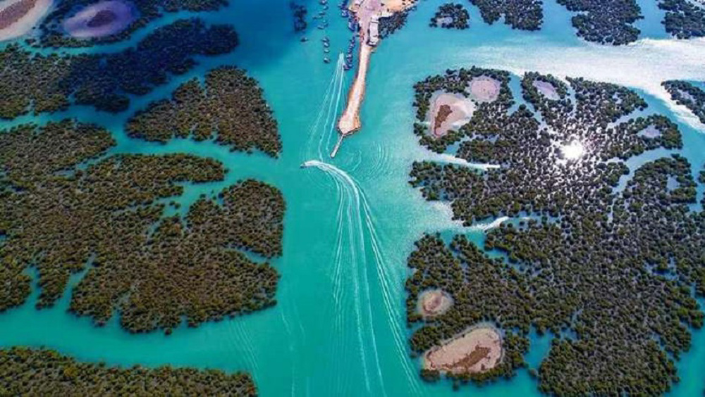 Iran sở hữu Iran sở hữu