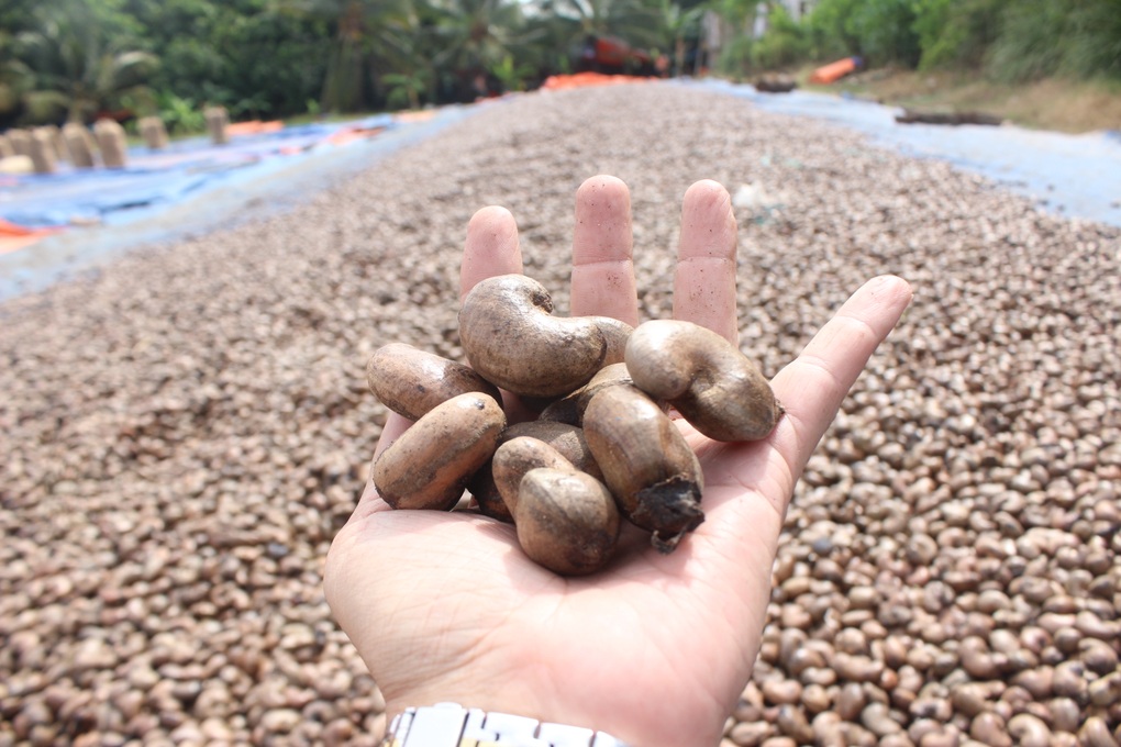 Kẹt đường sang châu Âu, doanh nghiệp xuất khẩu tìm cách bán hàng về nội địa - 1