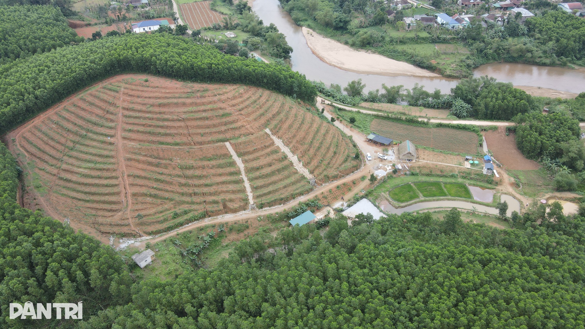 Khách Tây chăn trâu, được vịt massage khi đến Việt Nam du lịch - 1