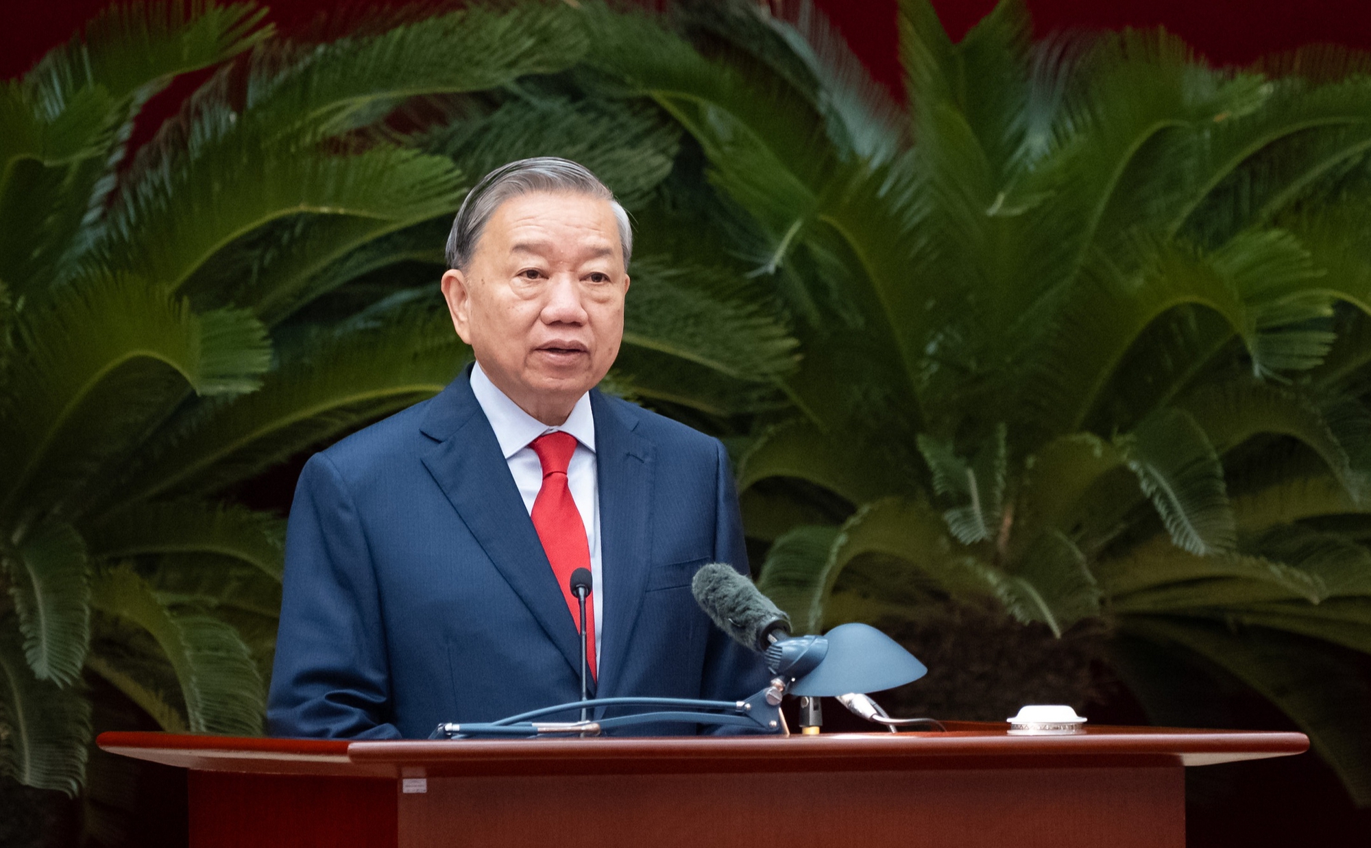 Trung ương - Ảnh 1.