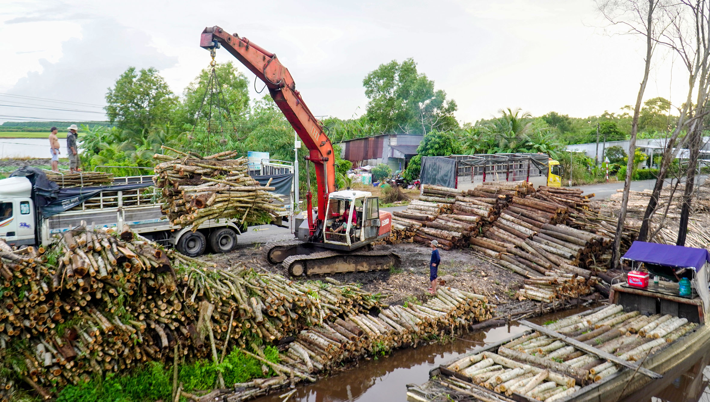 cảng biển - Ảnh 1.