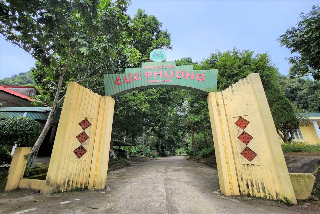 Khoảnh khắc hai con hươu tỉ thí võ công trong rừng Cúc Phương gây sốt  - 2