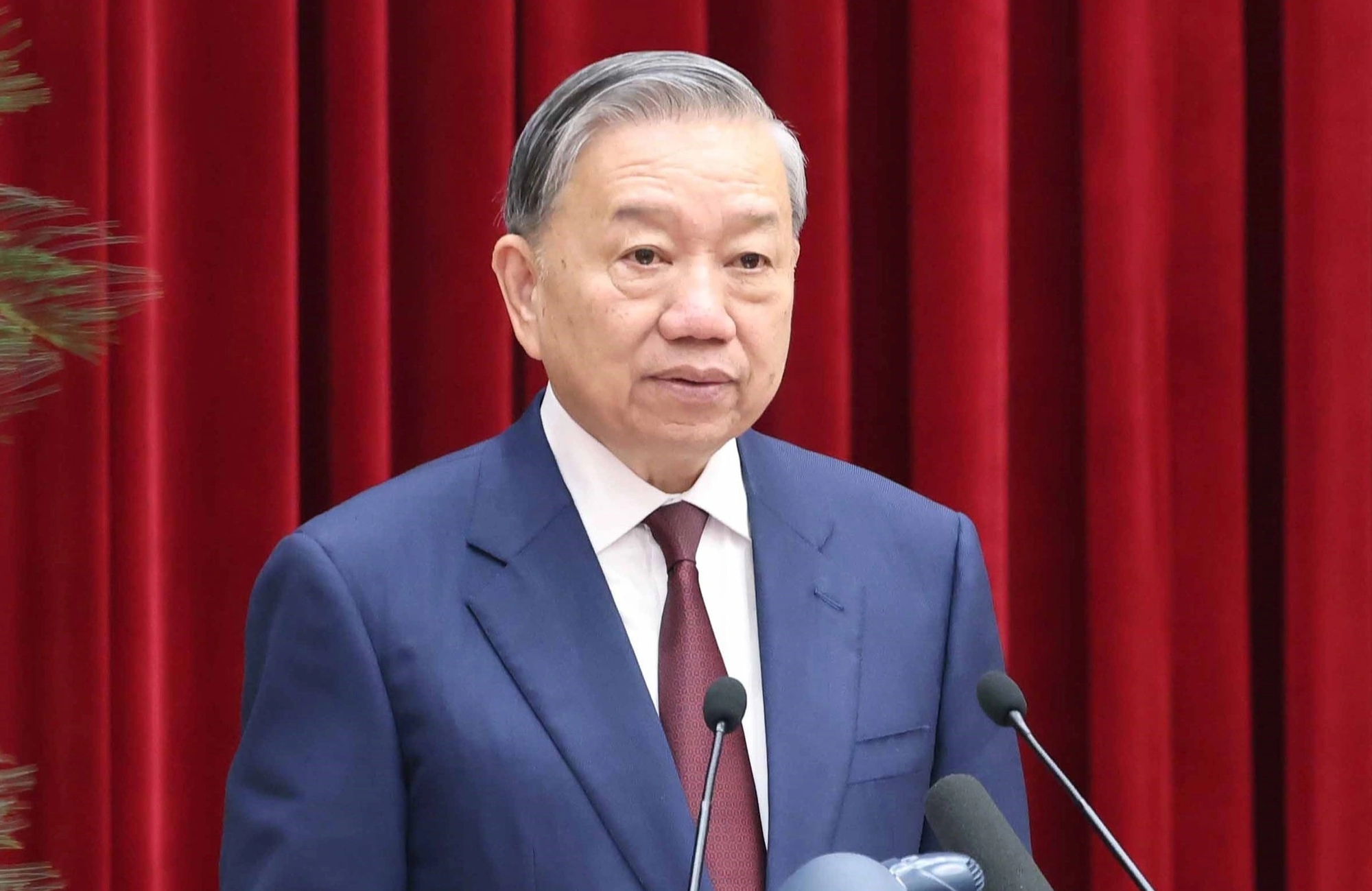 - Ảnh 1. - Ảnh 1.