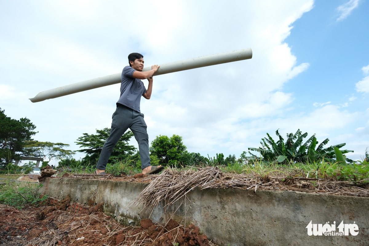 Lâm Đồng xin đưa thêm hơn 25.000ha bô xít ra ngoài Quy hoạch 866 - Ảnh 1.