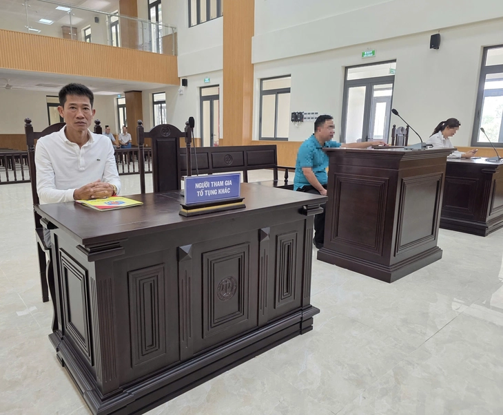 Làm giả con dấu của công ty, một giám đốc tại TP.HCM bị phạt tù - Ảnh 1.