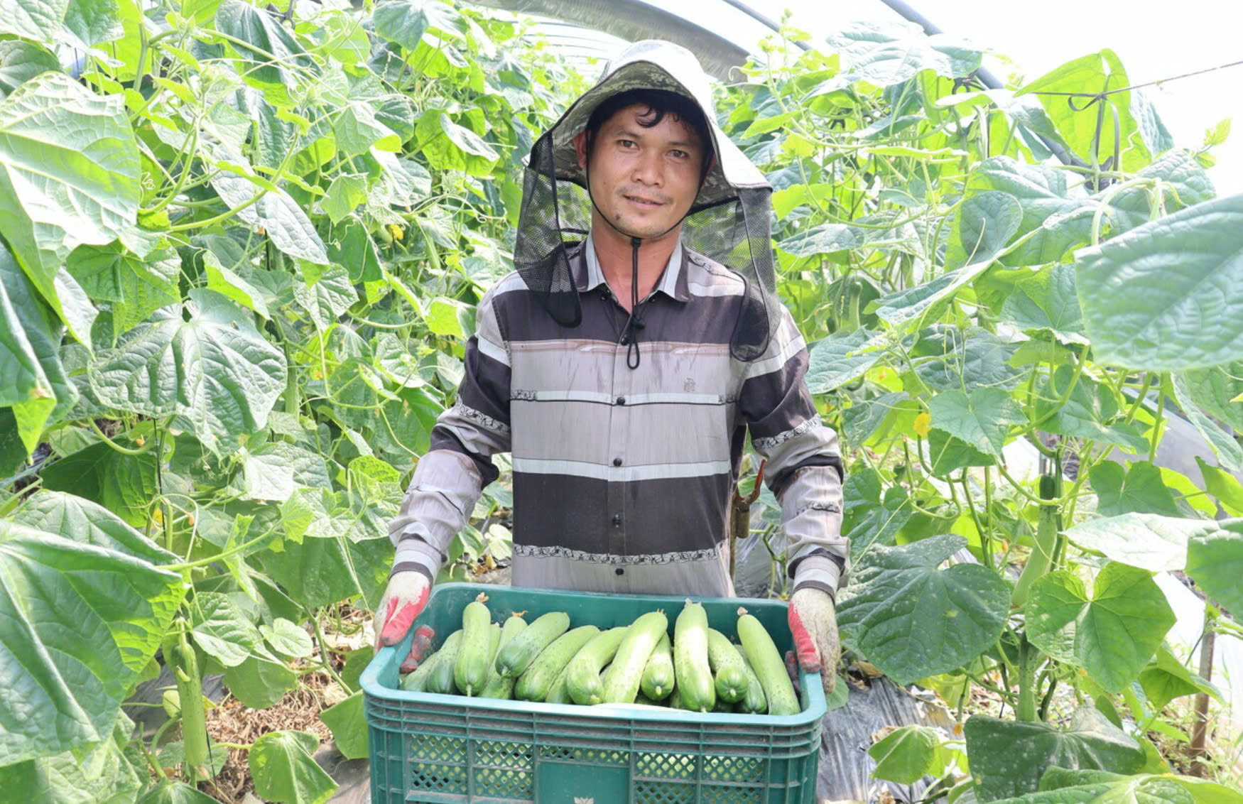 Lao động xuất khẩu chuyển hướng an toàn - Ảnh 1.