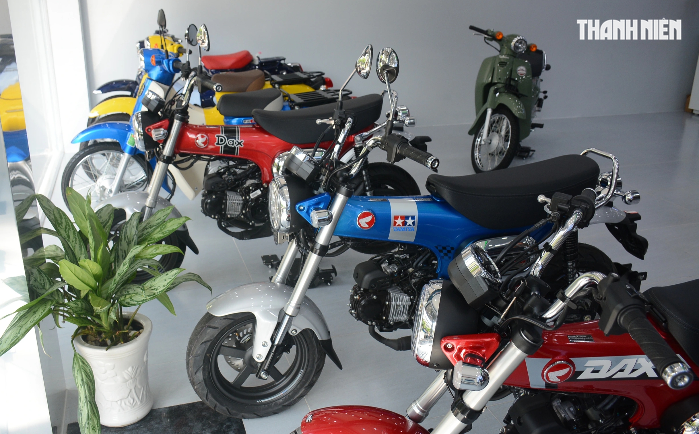 Lập kỷ lục doanh số, thị trường xe máy toàn cầu nối dài mạch tăng trưởng - Ảnh 1.