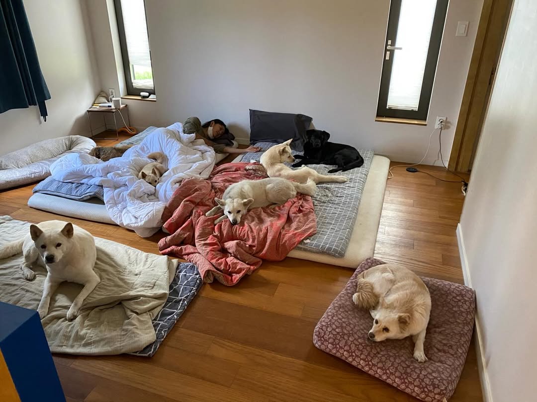 Lee Hyori đã làm gì mà bị dân mạng tấn công?- Ảnh 1.